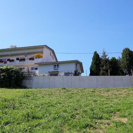 Haus Homann Διαμέρισμα Sulzberg  Εξωτερικό φωτογραφία